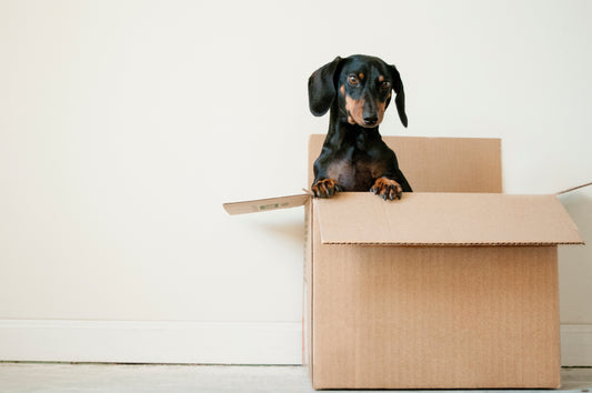 Moving on Up... Mindful Supply is Opening A Storefront!